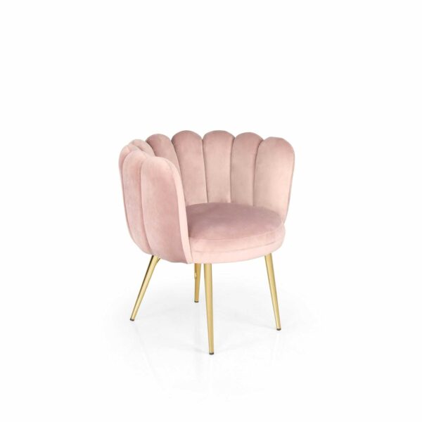 Beauty Chair - Görsel 2