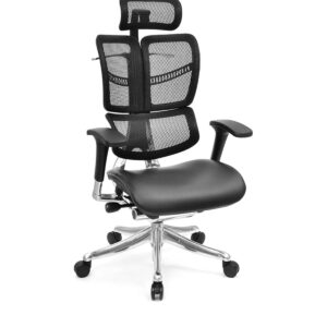 Platon Yönetici Koltuğu