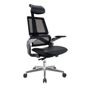 Venüs Yönetici Koltuğu